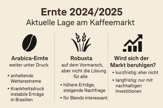 Kaffeemarkt 2025: Was du jetzt über Preise, Ernten und Qualität wissen solltest