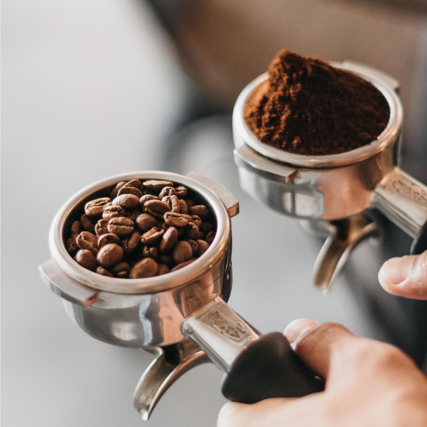 Barista Basic - Einsteigerkurs