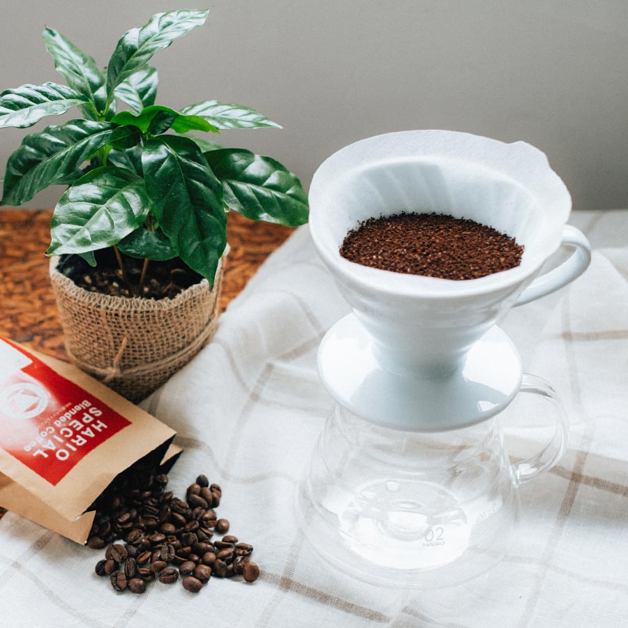 Hairo Paper Filter for 02