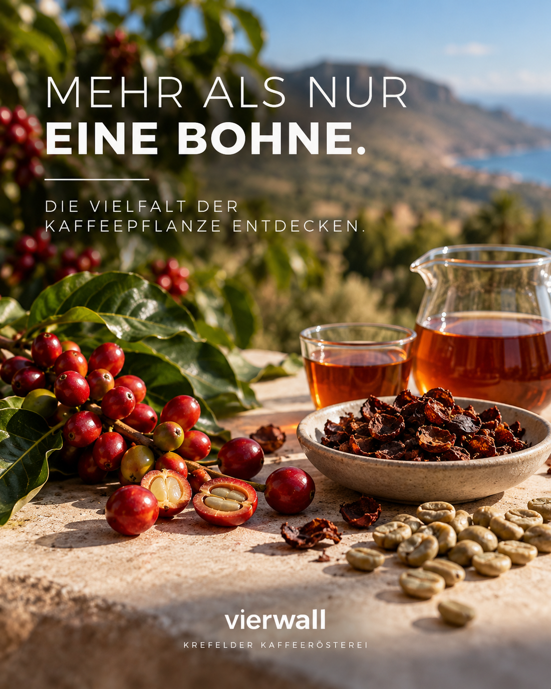 Mehr als die Bohne: Warum die Kaffeewelt gerade neu über Nachhaltigkeit nachdenkt