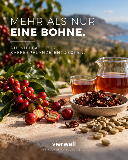 Mehr als die Bohne: Warum die Kaffeewelt gerade neu über Nachhaltigkeit nachdenkt
